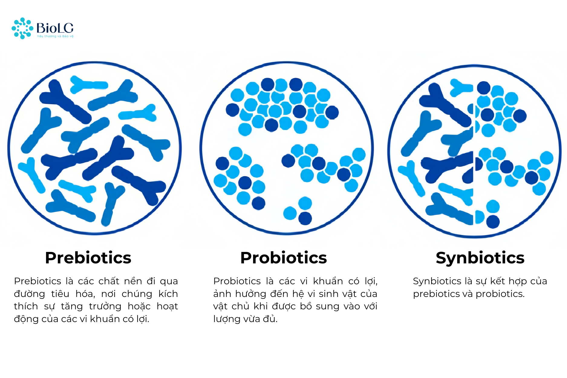 Synbiotics là sự kết hợp của prebiotics và probiotics