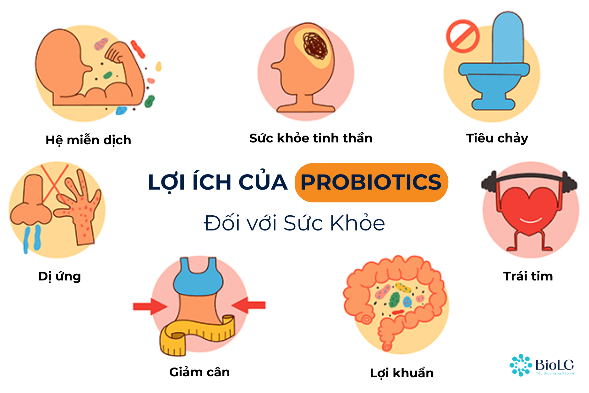 Lợi ích của lợi khuẩn (Probiotics) với cơ thể con người