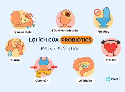 Lợi khuẩn và vai trò của lợi khuẩn