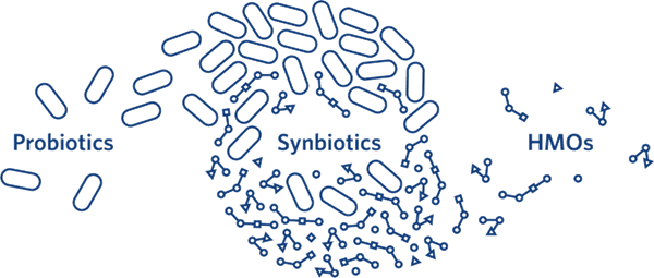 synbiotics