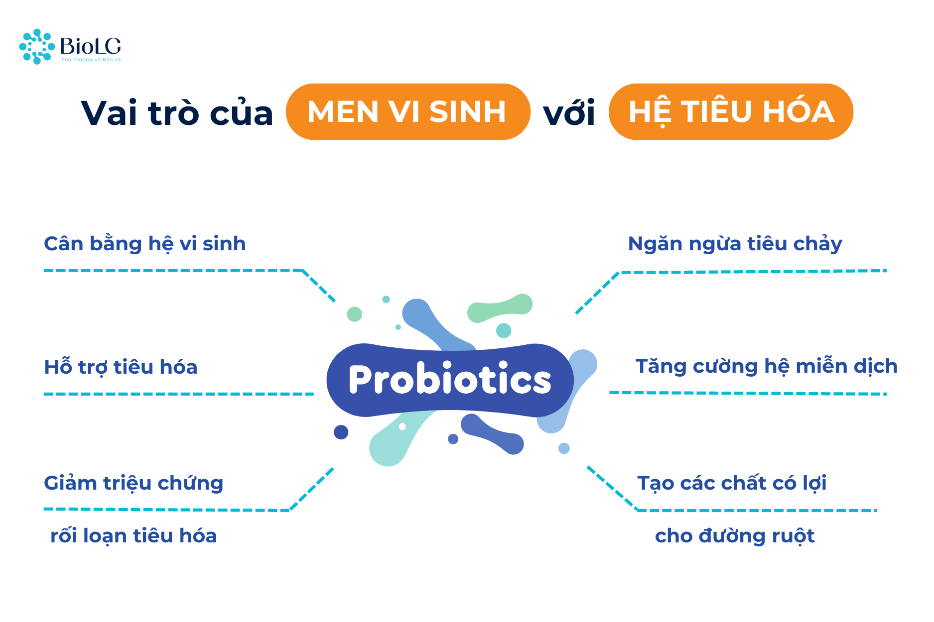 Vai trò của men vi sinh Probiotic với hệ tiêu hóa